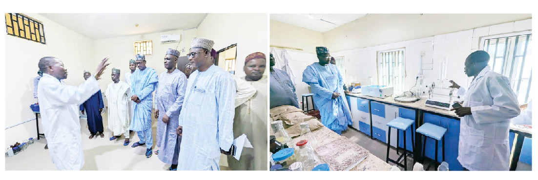 Jigawa Agricultural Research Institute Emerges As Model For Others